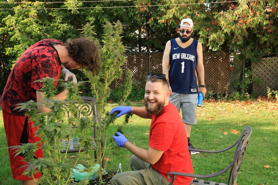 community garden project